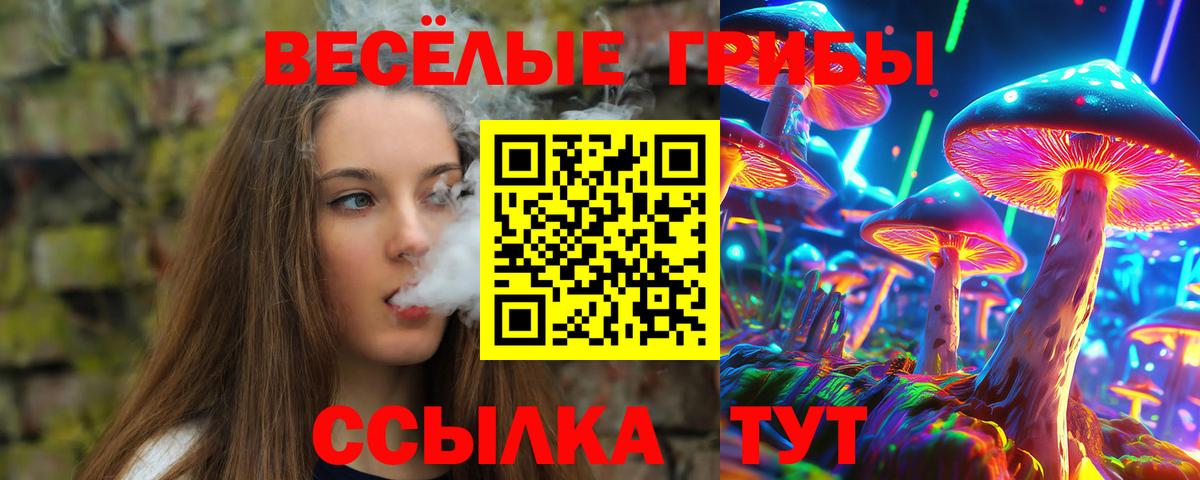 цены наркотик  Галлюциногенные грибы прущие грибы  Псилоцибиновые грибы прущие грибы  Вход с VPN  Октябрьский 